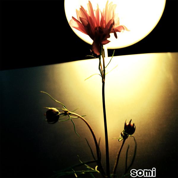 Image Cover